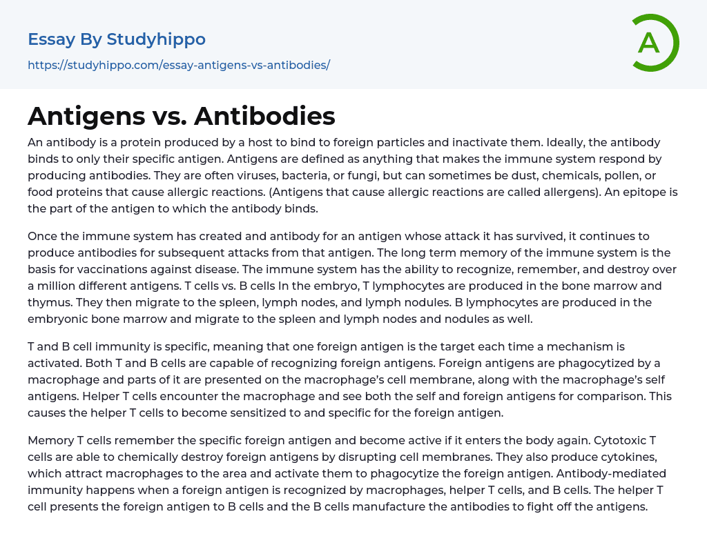 Antigens vs. Antibodies Essay Example