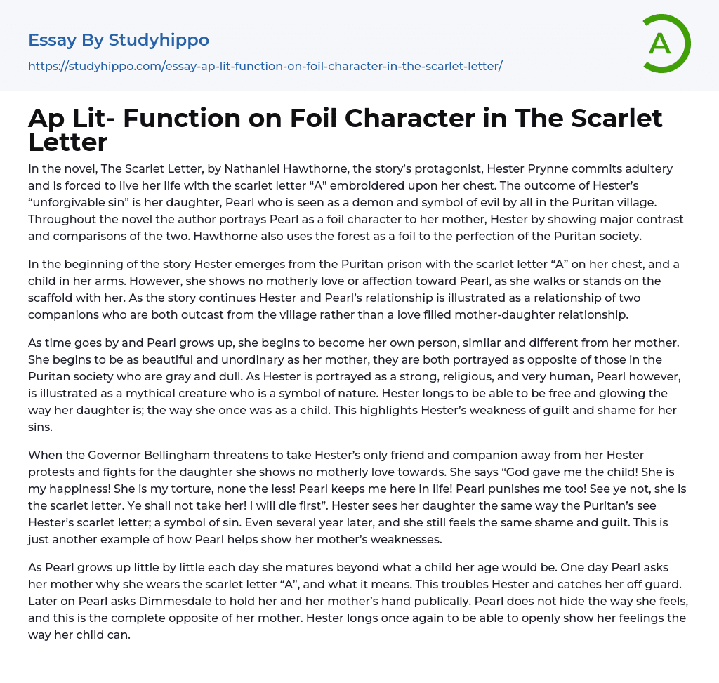Ap Lit- Function on Foil Character in The Scarlet Letter Essay Example