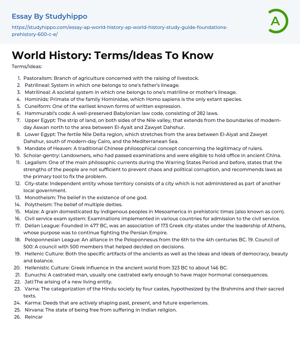 World History: Terms/Ideas To Know Essay Example