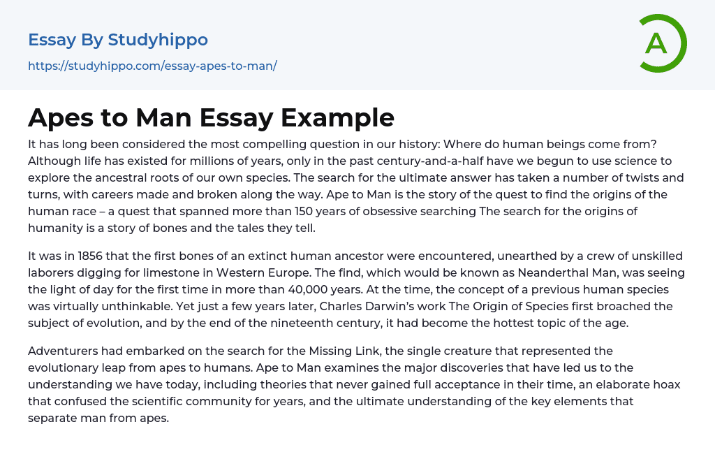 Apes to Man Essay Example