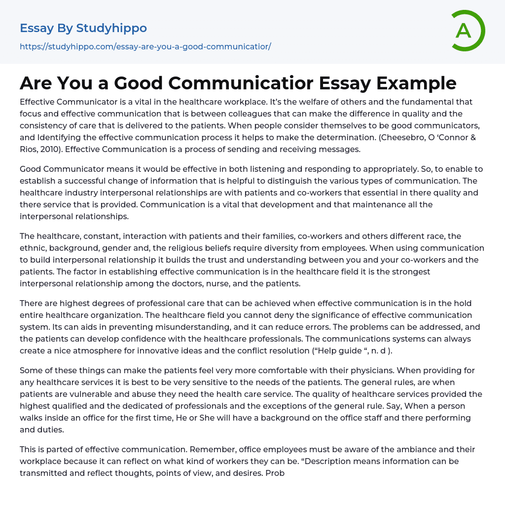 Are You a Good Communicatior Essay Example