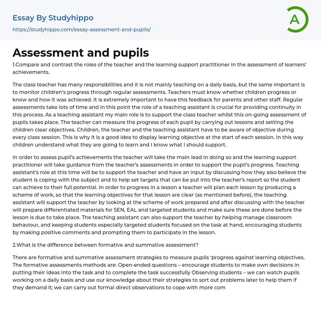 Assessment and pupils Essay Example