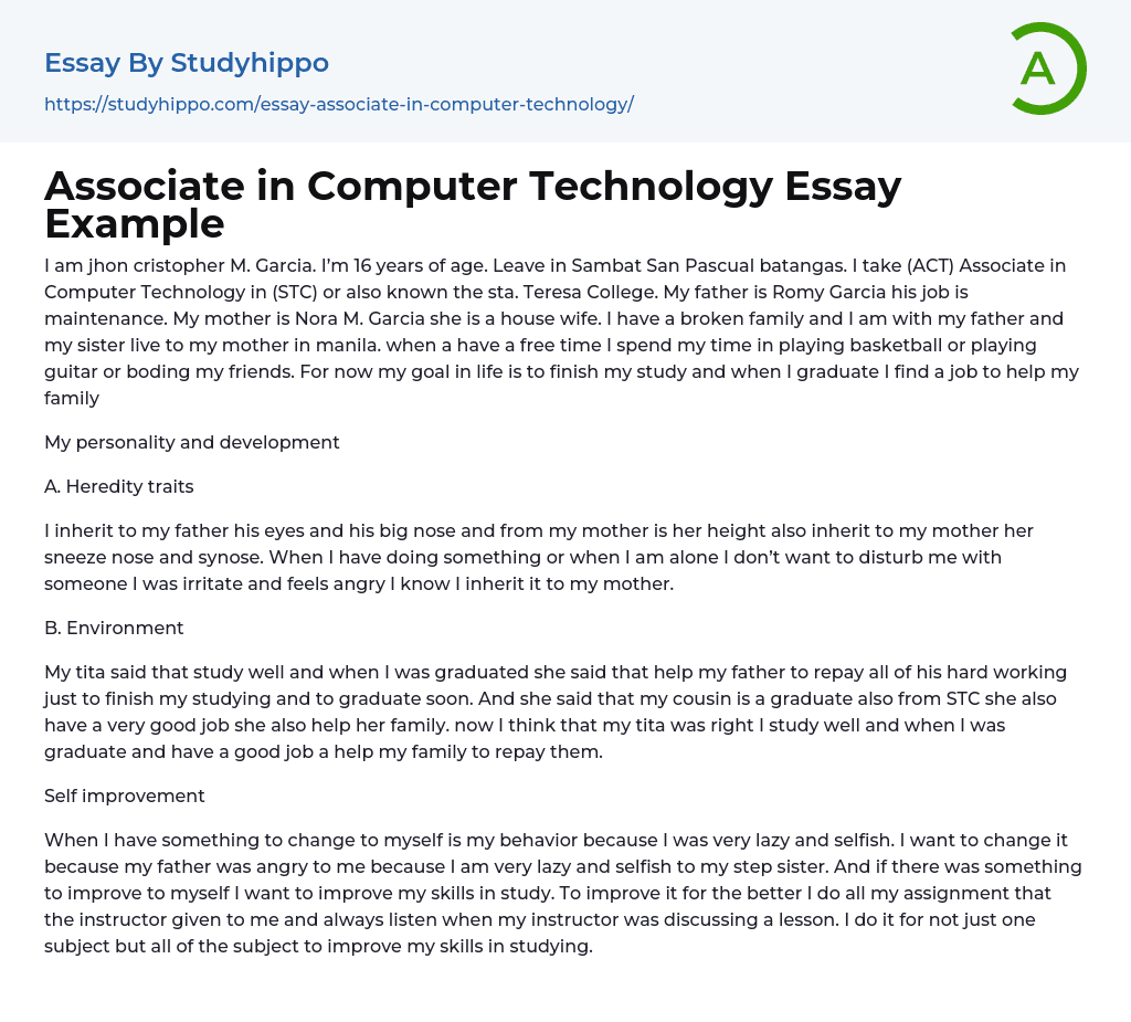 Associate in Computer Technology Essay Example