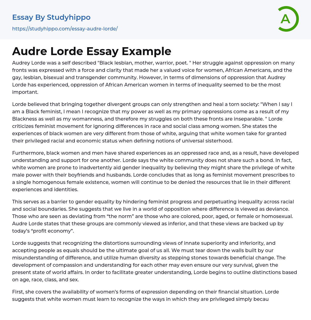 Audre Lorde Essay Example