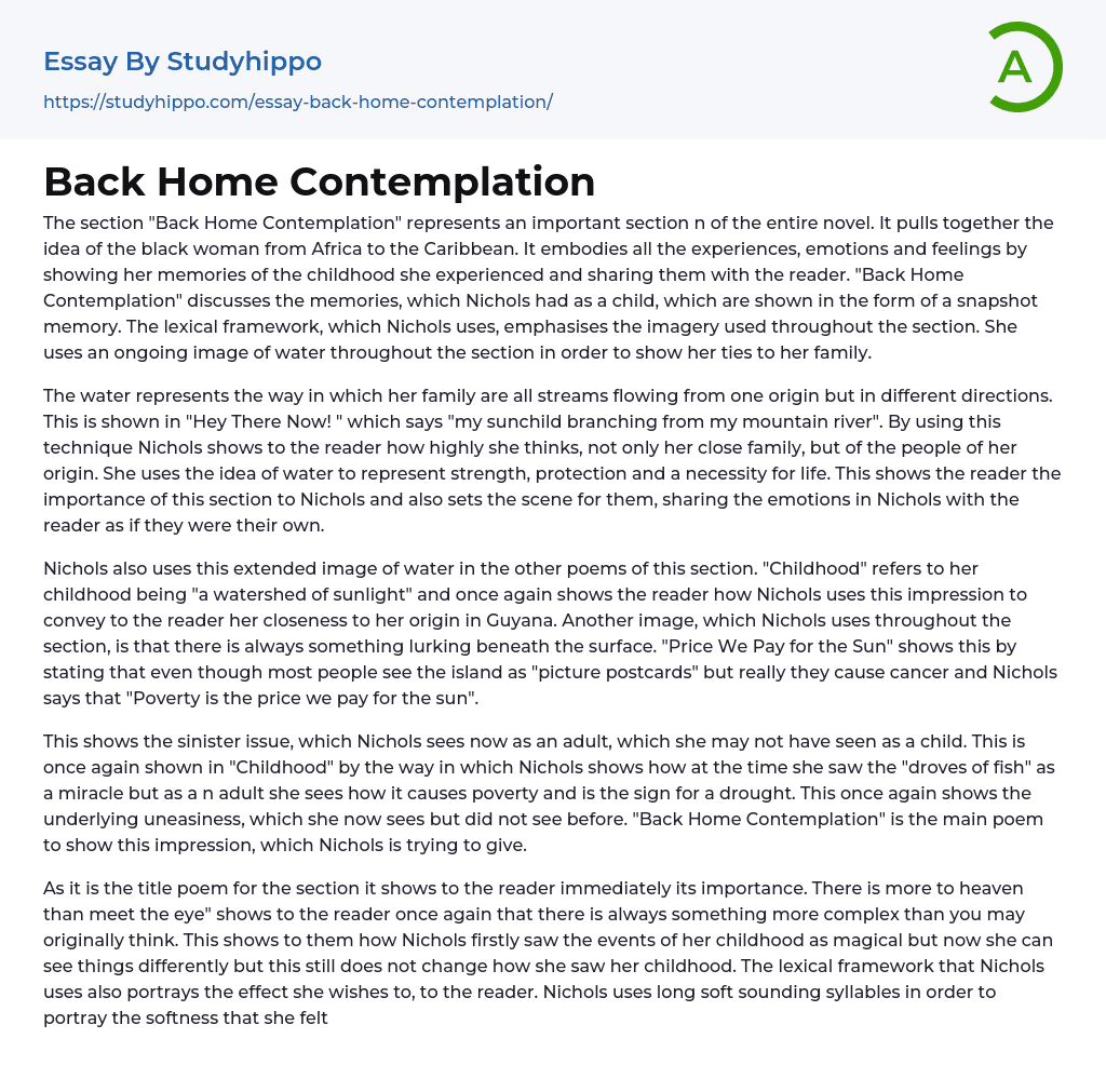 Back Home Contemplation Essay Example