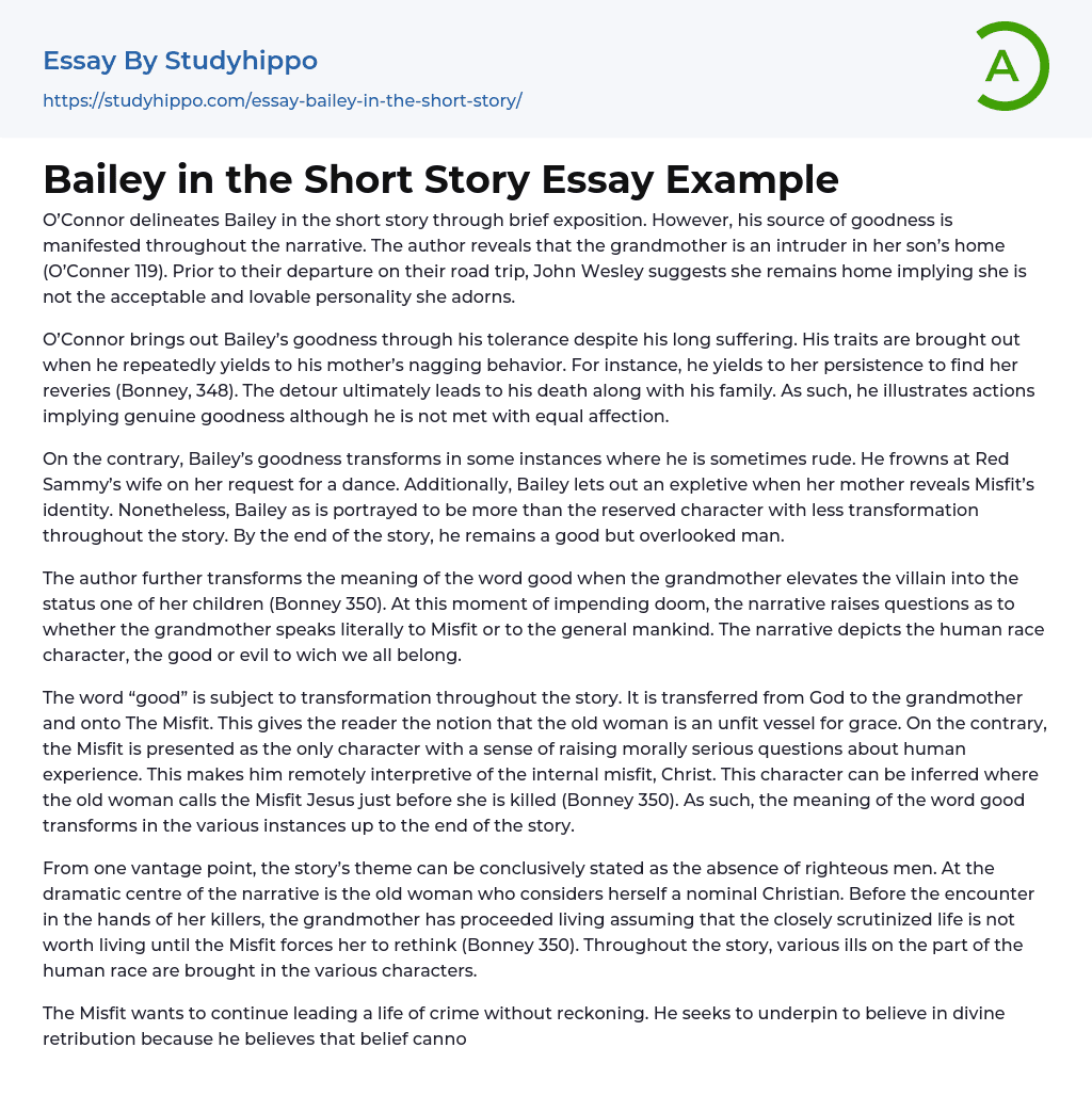 Bailey in the Short Story Essay Example