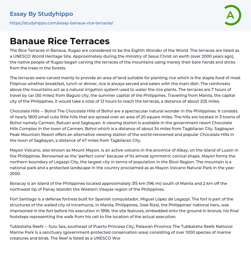 Banaue Rice Terraces Essay Example