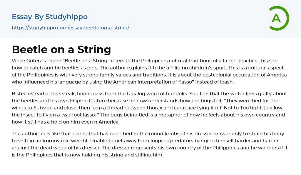 Beetle on a String Essay Example