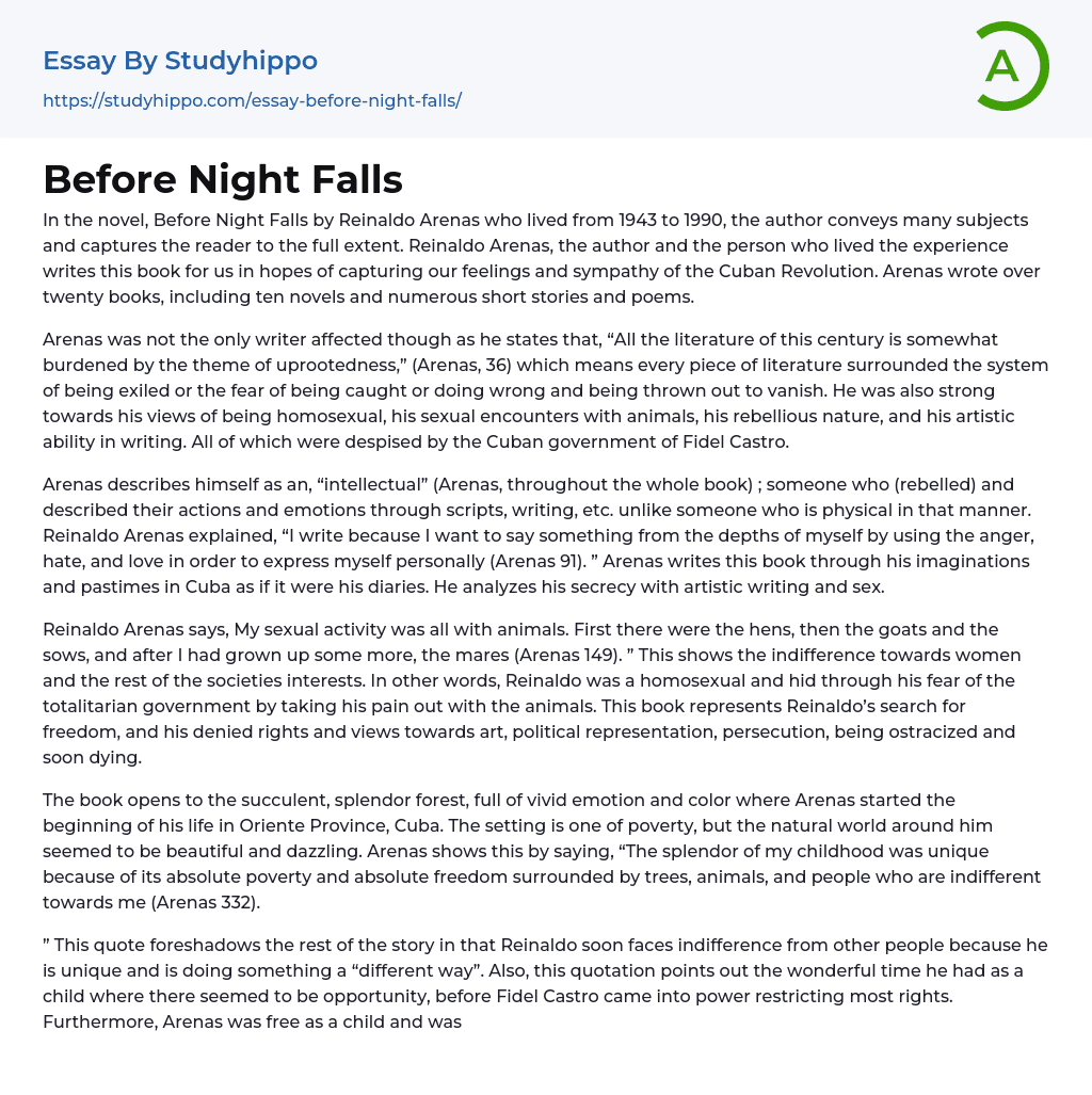 Before Night Falls Essay Example