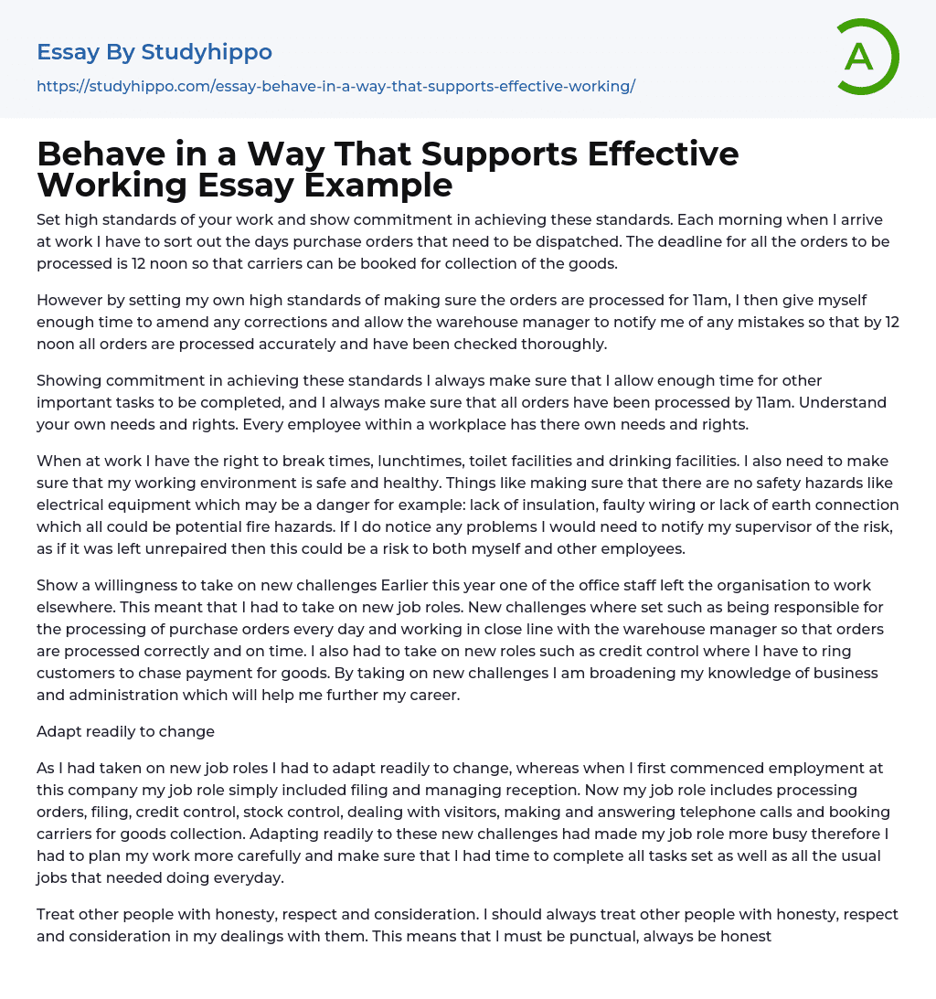 Behave in a Way That Supports Effective Working Essay Example