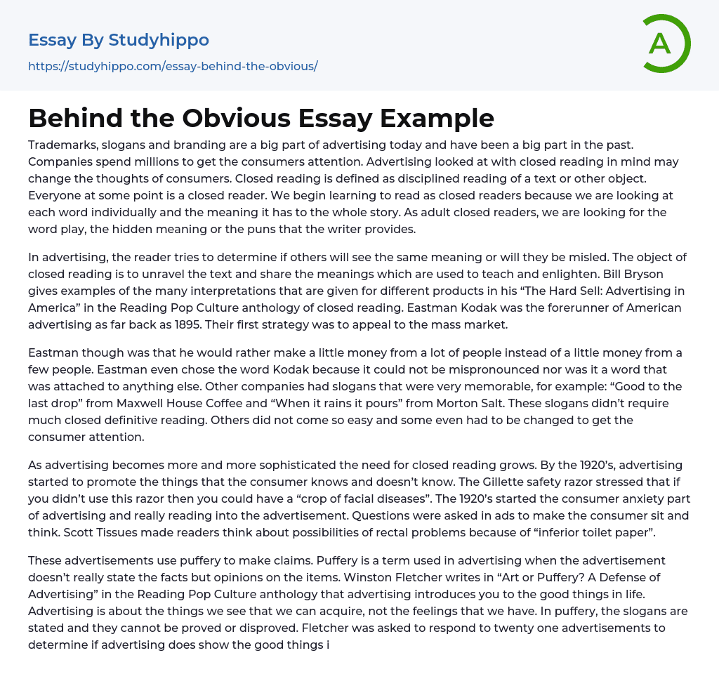Behind the Obvious Essay Example