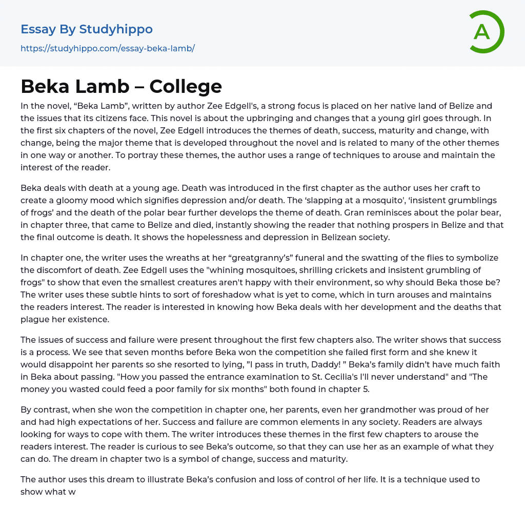 Beka Lamb – College Essay Example