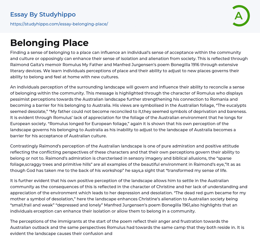Belonging Place Essay Example
