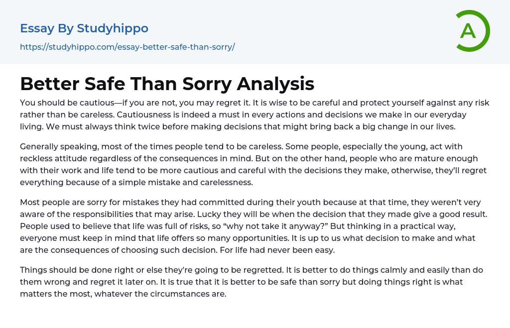 Better Safe Than Sorry Analysis Essay Example