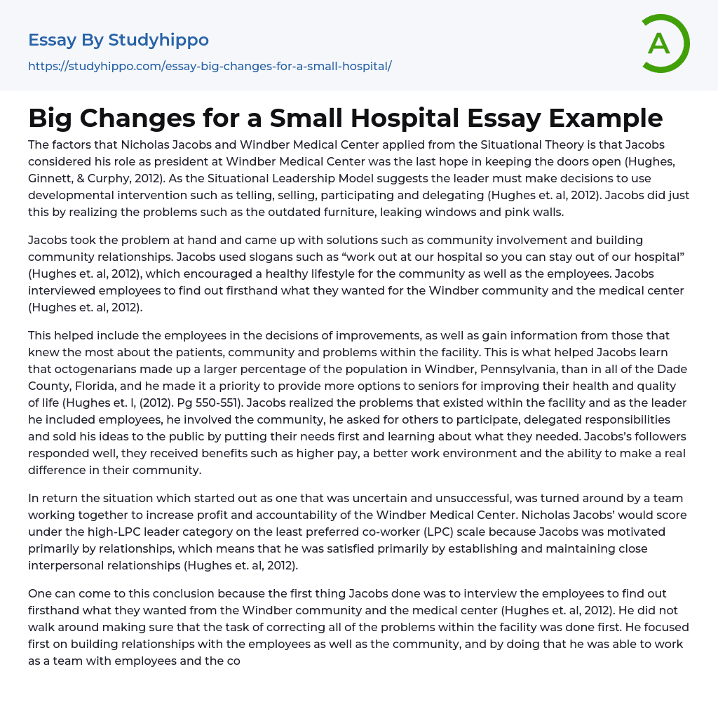 Big Changes for a Small Hospital Essay Example