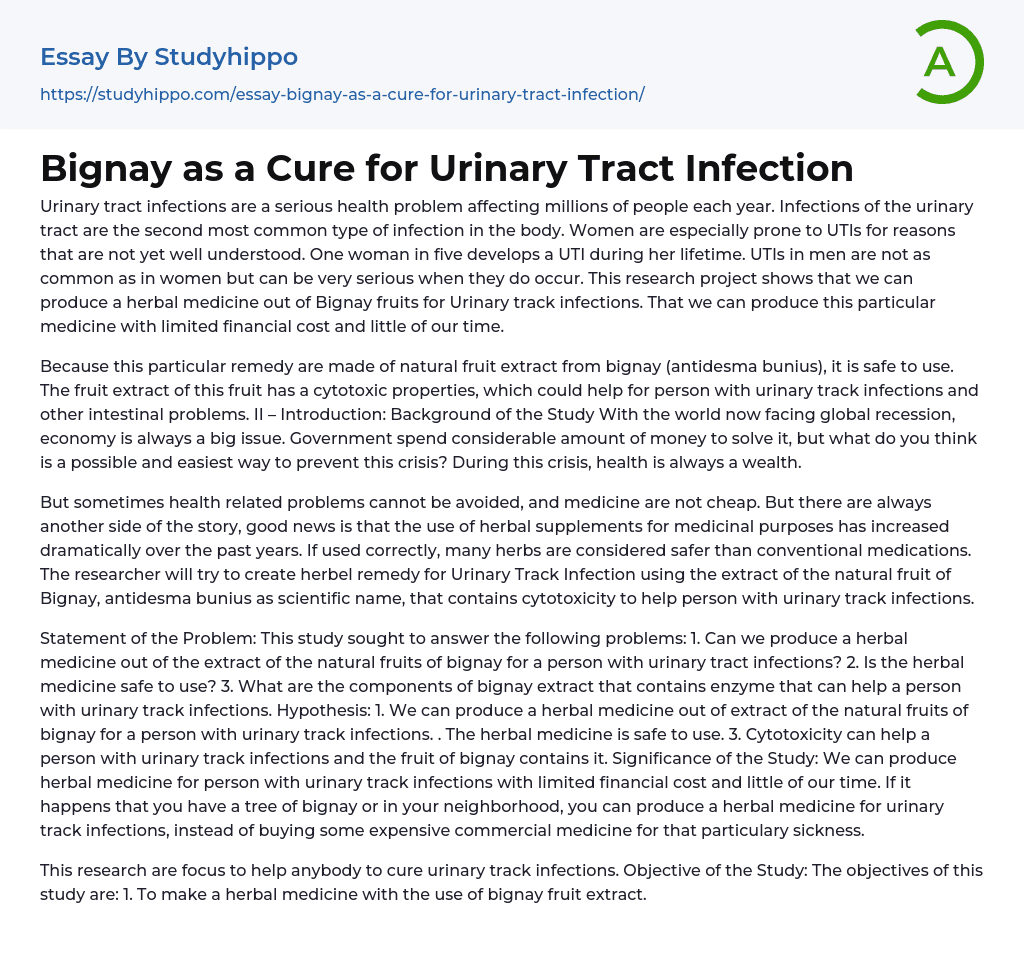 Bignay as a Cure for Urinary Tract Infection Essay Example