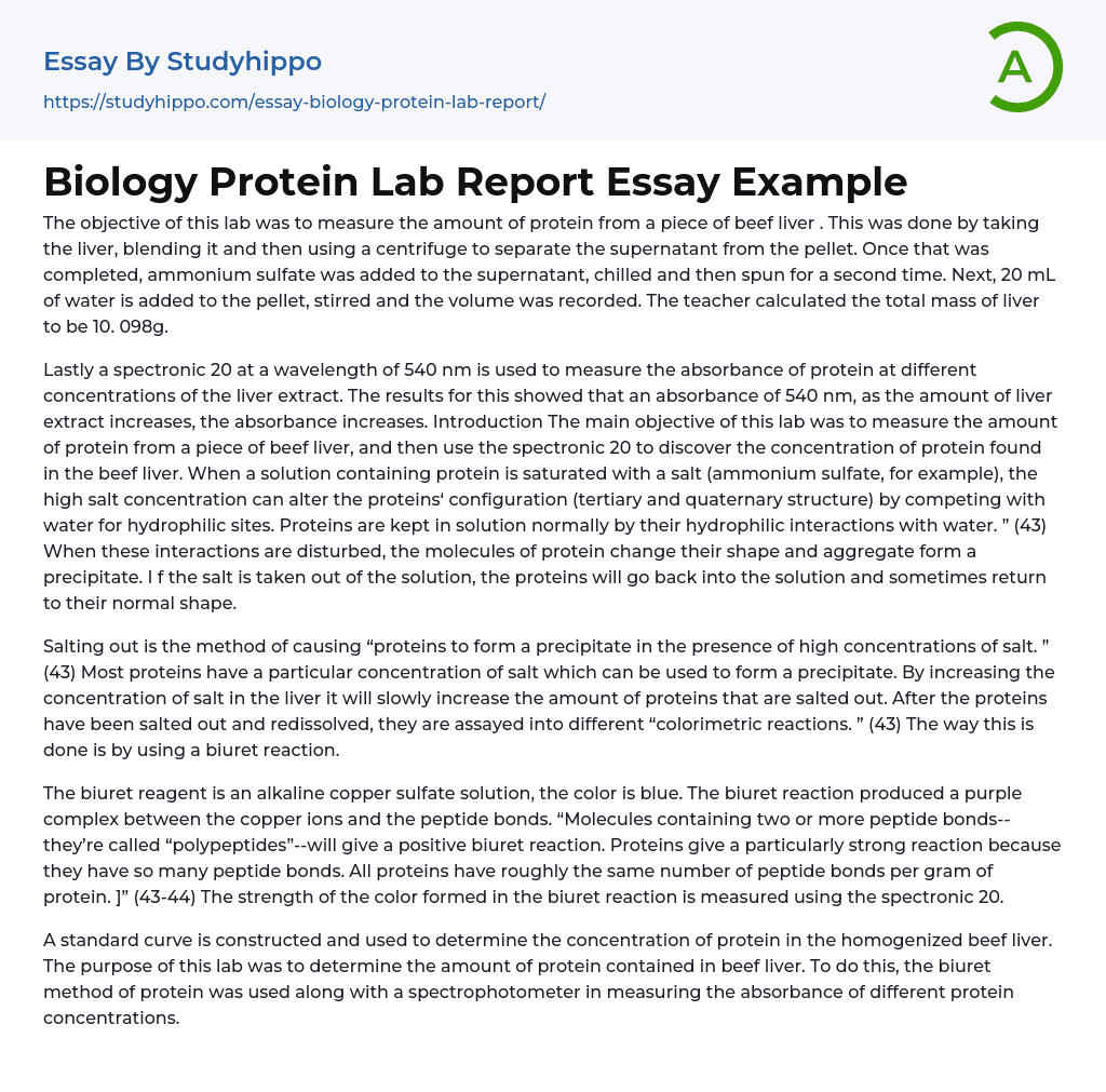 Biology Protein Lab Report Essay Example