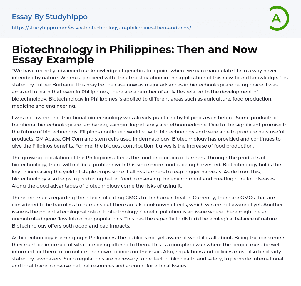 Biotechnology in Philippines: Then and Now Essay Example