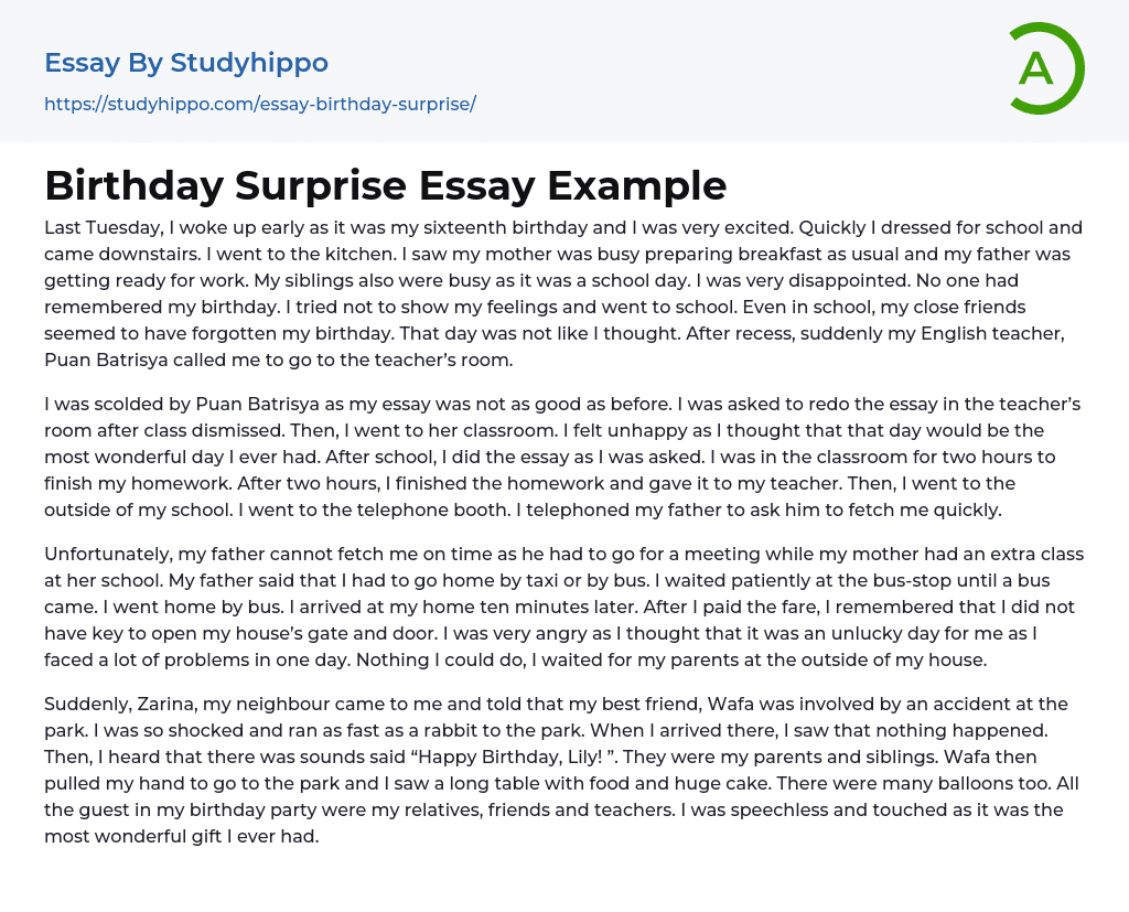 best birthday party ever essay