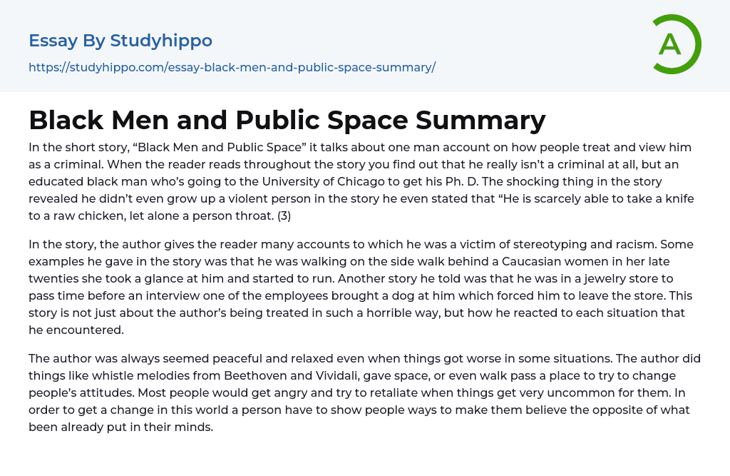 Black Men and Public Space Summary Essay Example