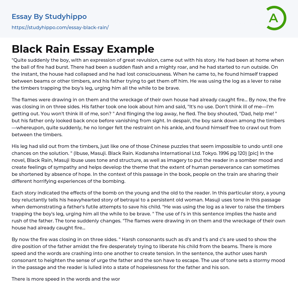 Black Rain Essay Example
