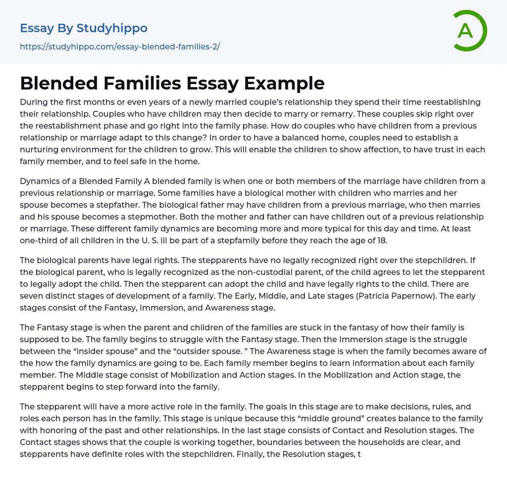 Blended Families Essay Example