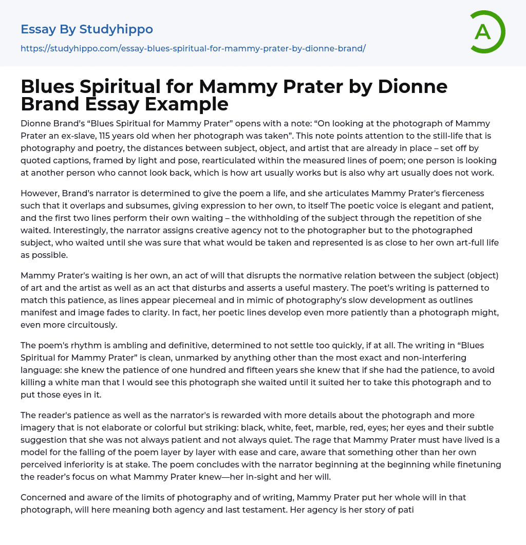 Blues Spiritual for Mammy Prater by Dionne Brand Essay Example
