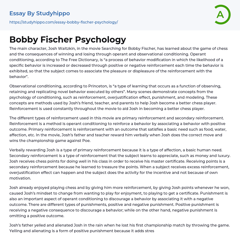 Bobby Fischer Psychology Essay Example