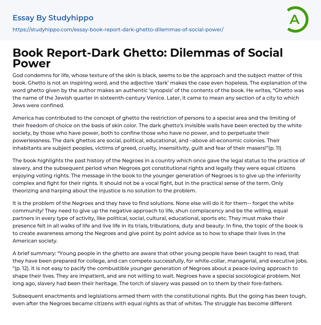 Book Report-Dark Ghetto: Dilemmas of Social Power Essay Example