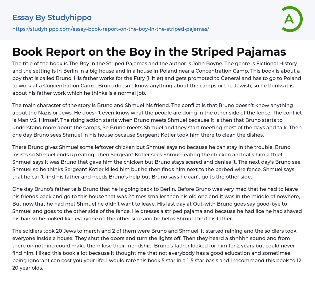 Book Report on the Boy in the Striped Pajamas Essay Example