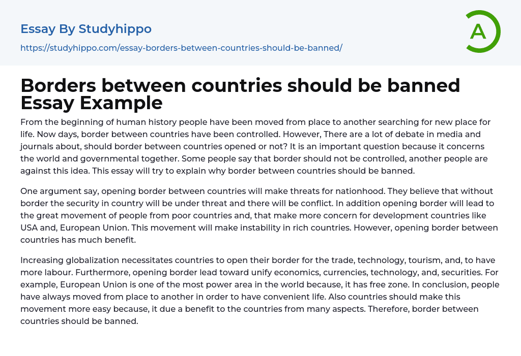 Borders between countries should be banned Essay Example