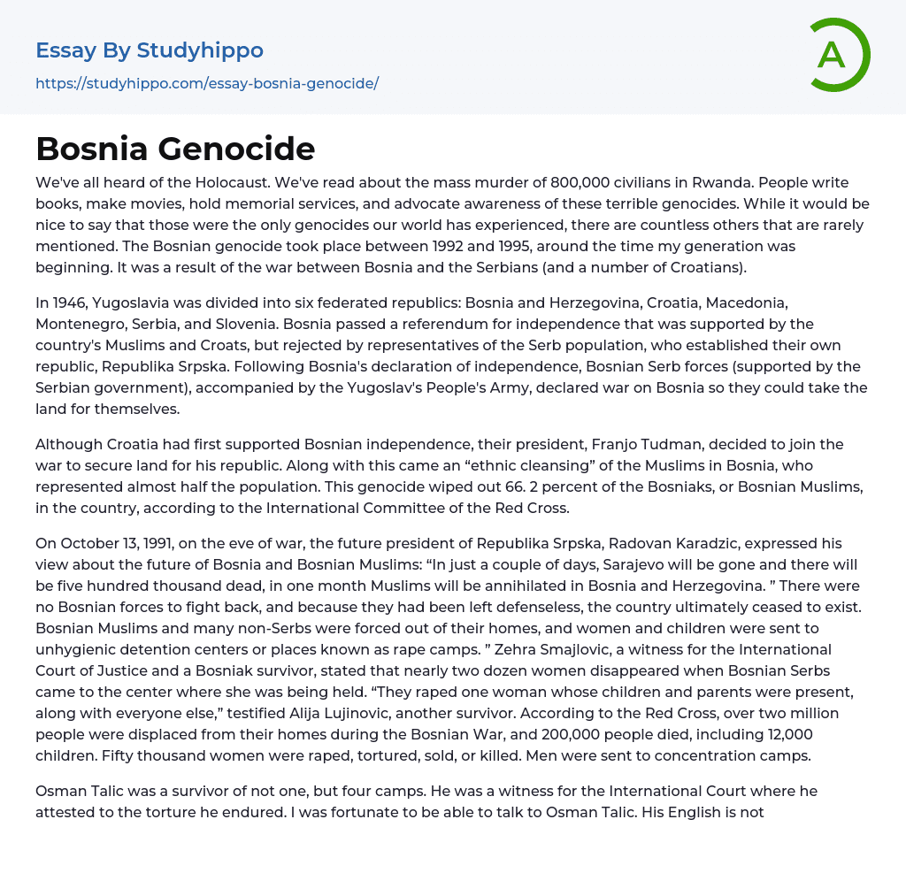 Bosnia Genocide Essay Example
