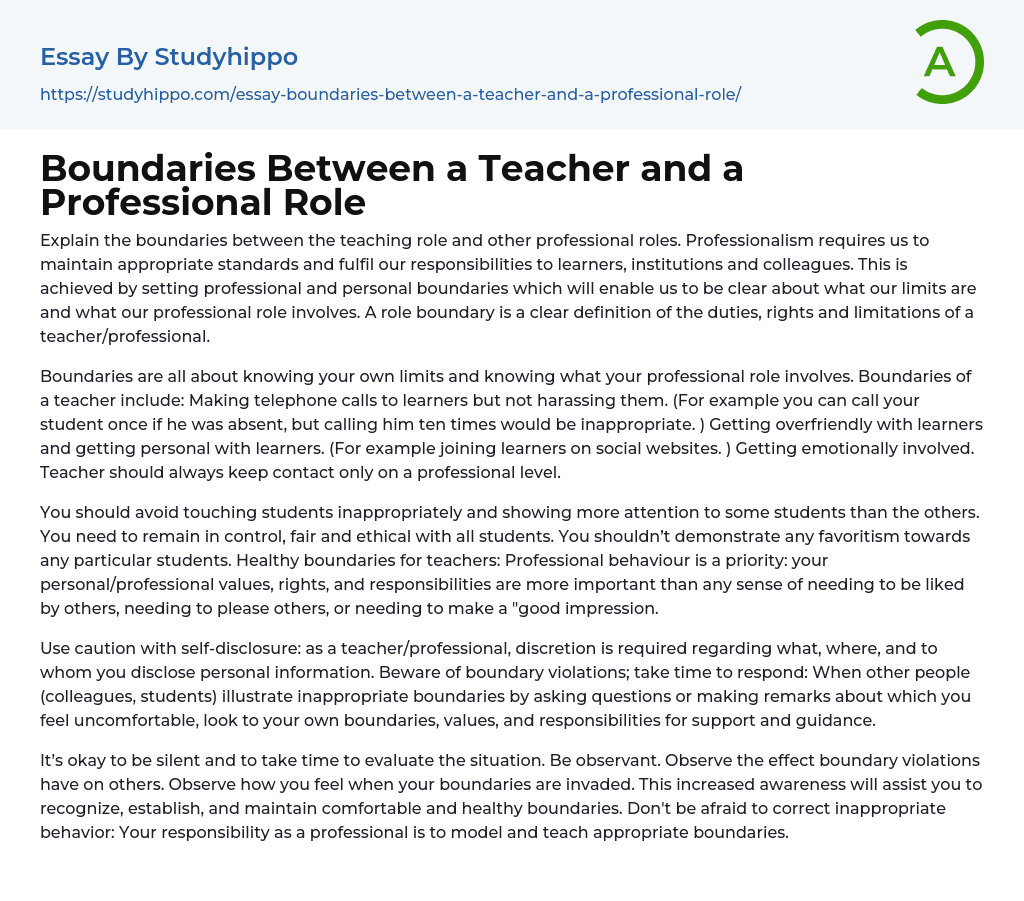 Boundaries Between a Teacher and a Professional Role Essay Example