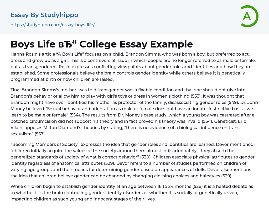 Boys Life College Essay Example