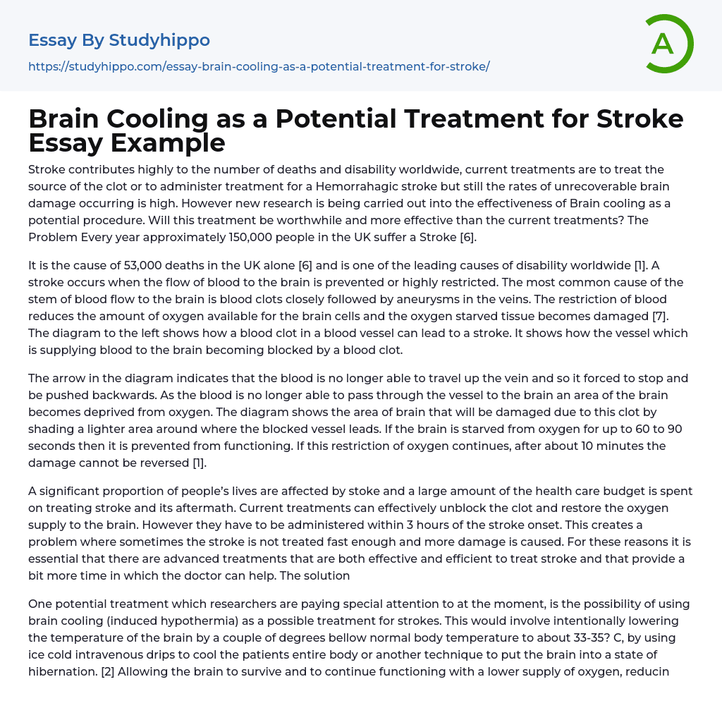 Brain Cooling as a Potential Treatment for Stroke Essay Example