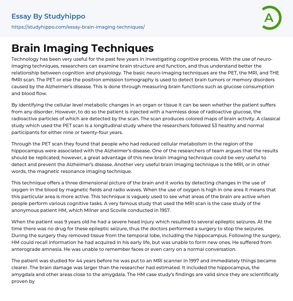 Brain Imaging Techniques Essay Example