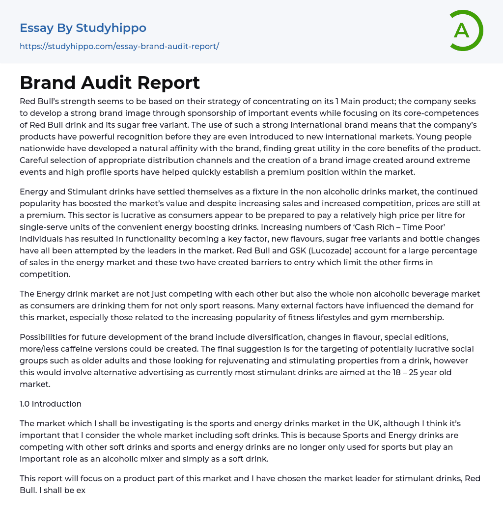 Brand Audit Report Essay Example