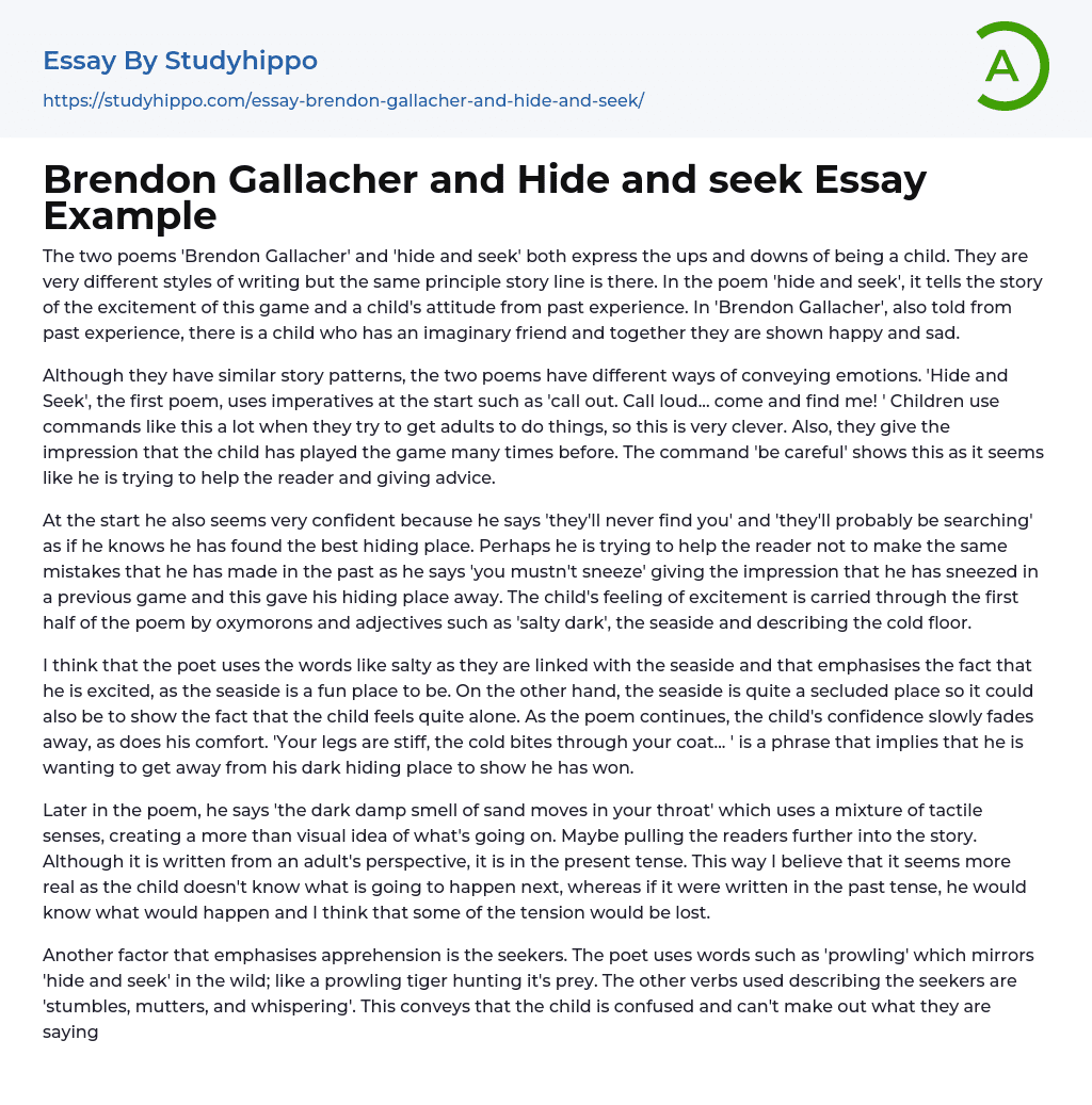 Brendon Gallacher and Hide and seek Essay Example