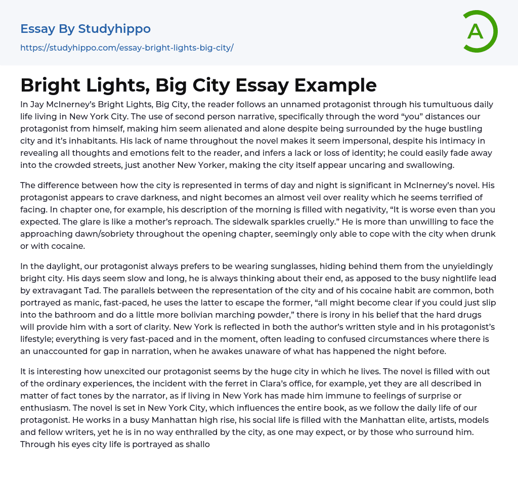 Bright Lights, Big City Essay Example