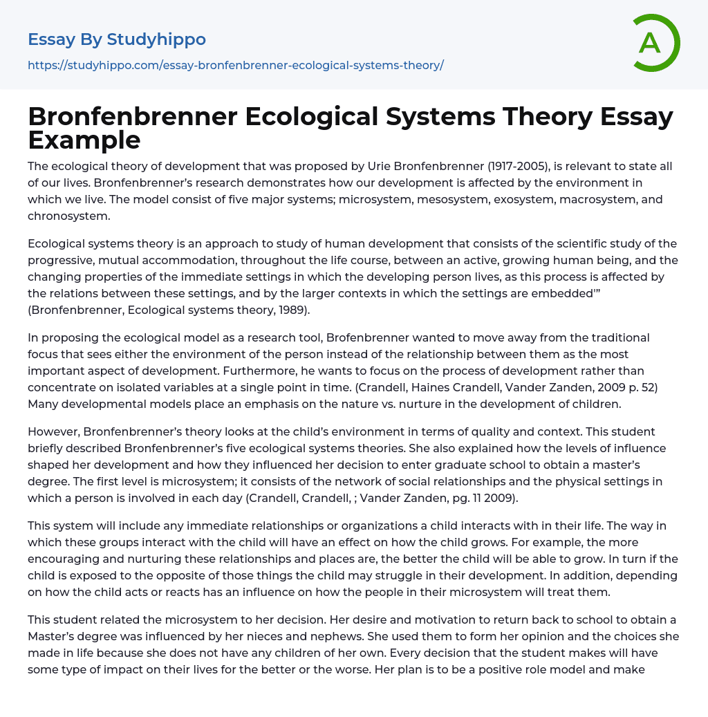 Bronfenbrenner Ecological Systems Theory Essay Example