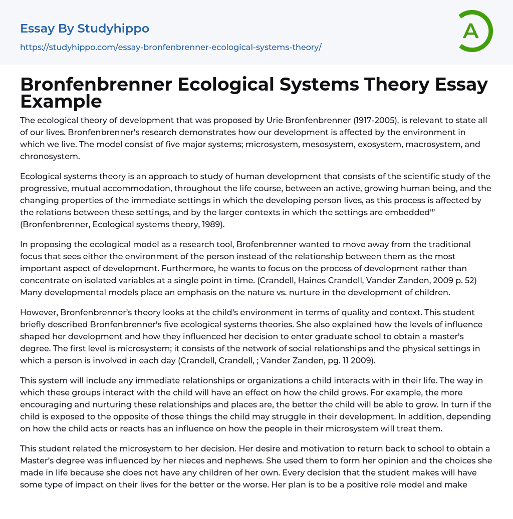 essay about bronfenbrenner's ecological theory