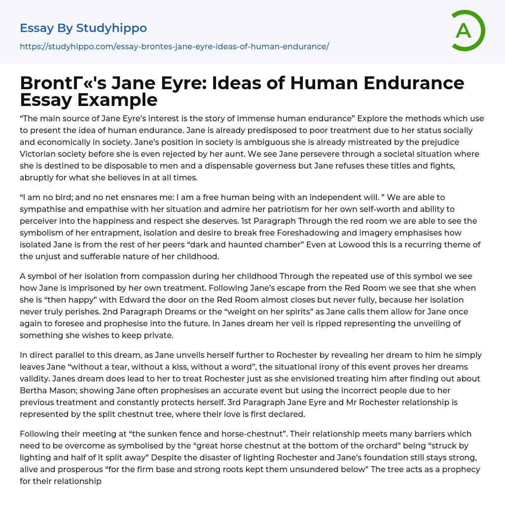 Bront?«’s Jane Eyre: Ideas of Human Endurance Essay Example