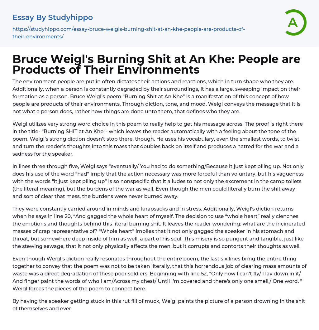 Bruce Weigl’s Burning Shit at An Khe: People are Products of Their Environments Essay Example