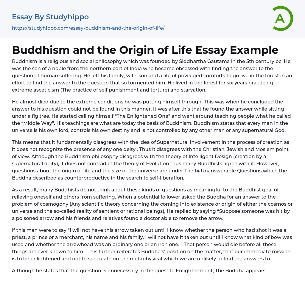 Buddhism and the Origin of Life Essay Example