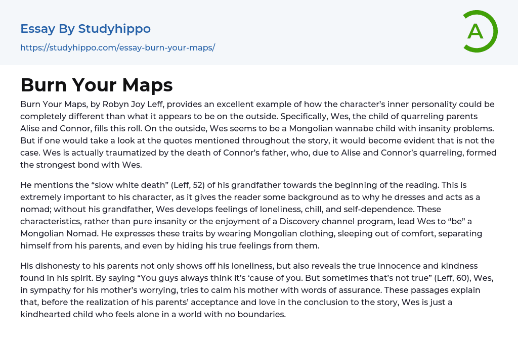 Burn Your Maps Essay Example