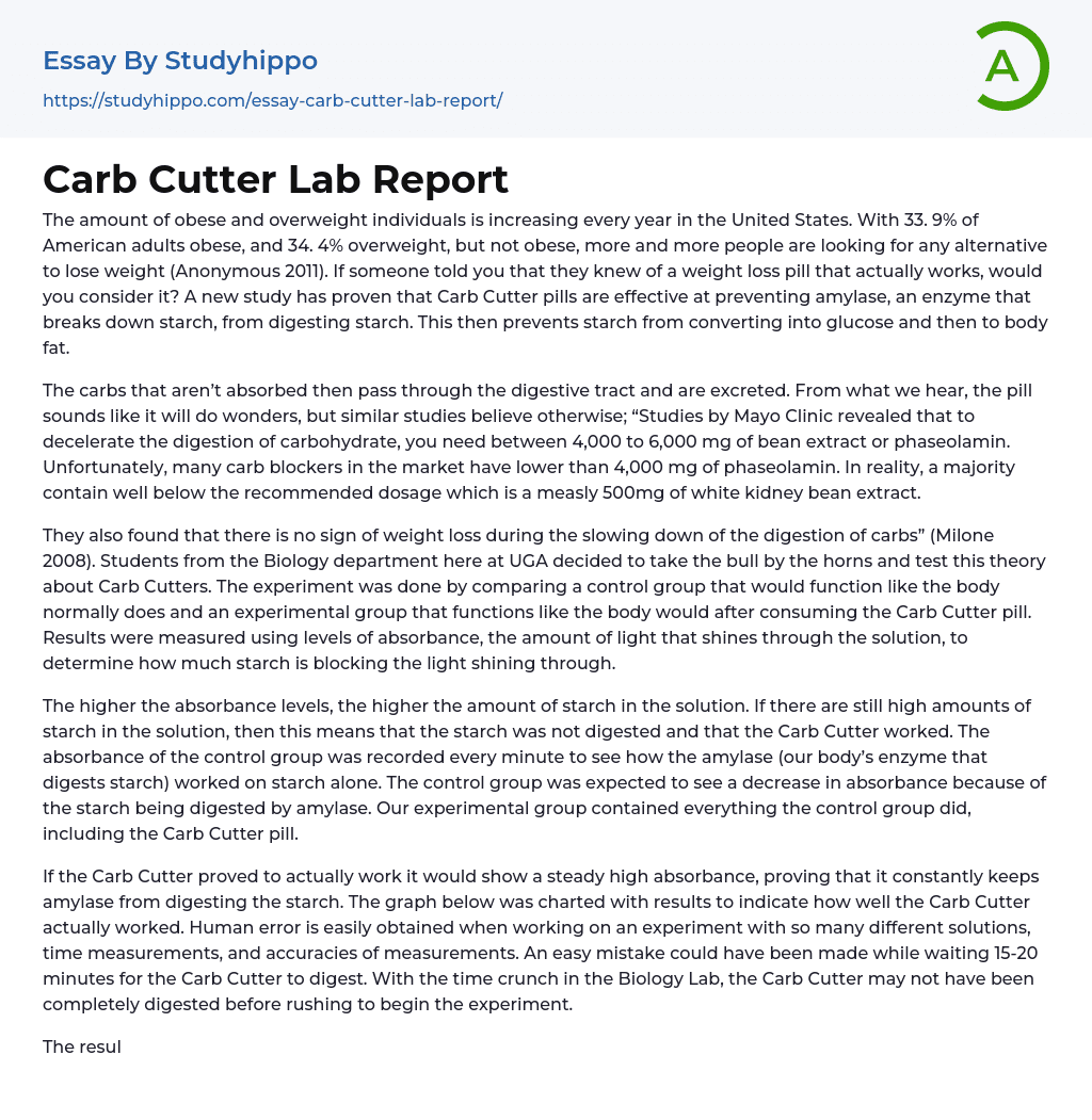 Carb Cutter Lab Report Essay Example