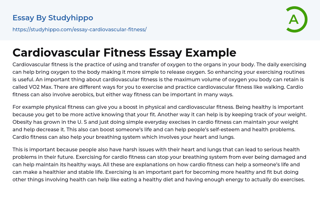 Cardiovascular Fitness Essay Example