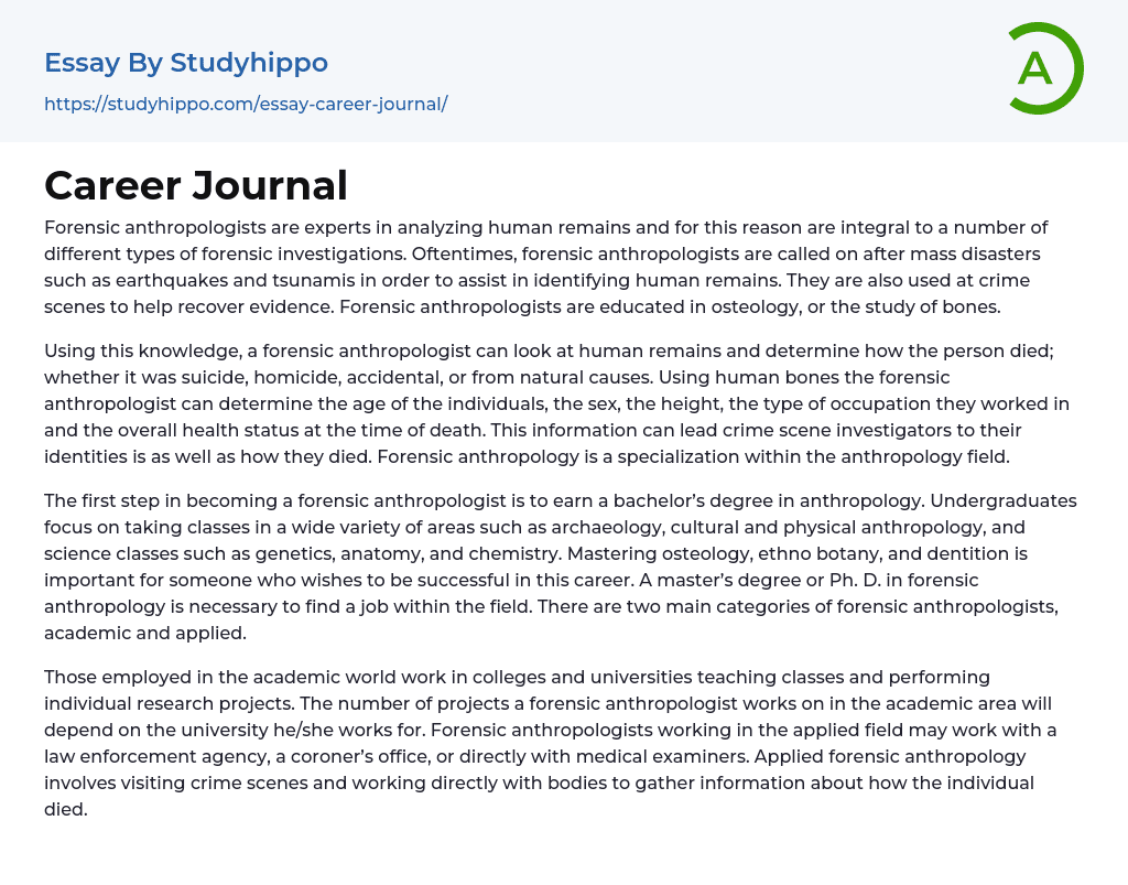 Career Journal Essay Example