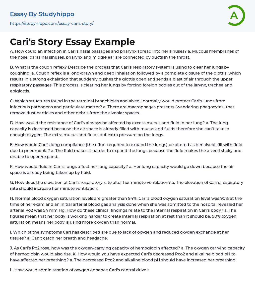 Cari’s Story Essay Example