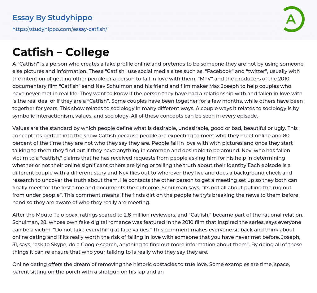 Catfish – College Essay Example